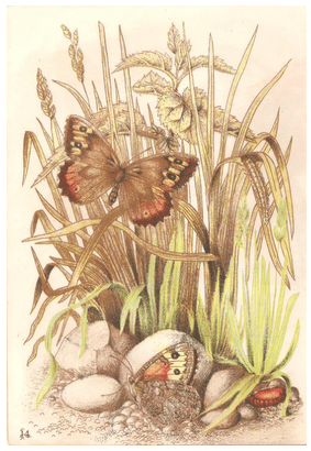 Screen Shot 2013-04-16 at 3.12.04 PM