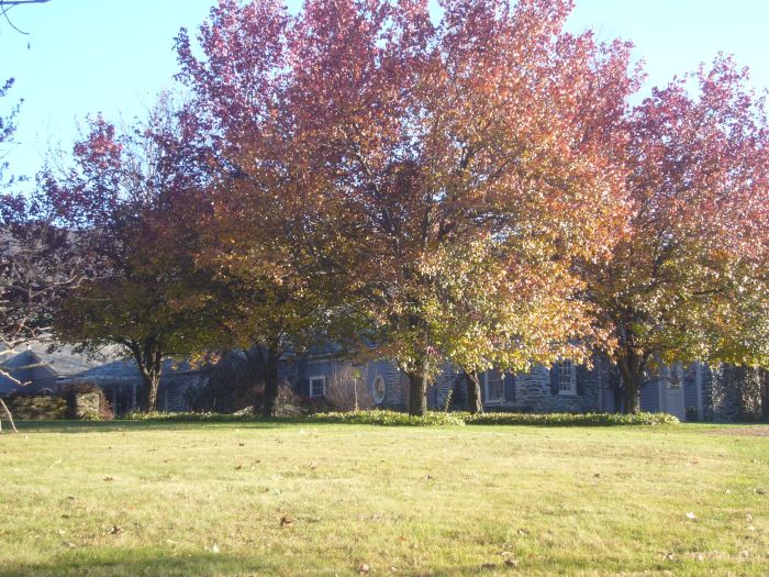 Black Hole Hollow Farm