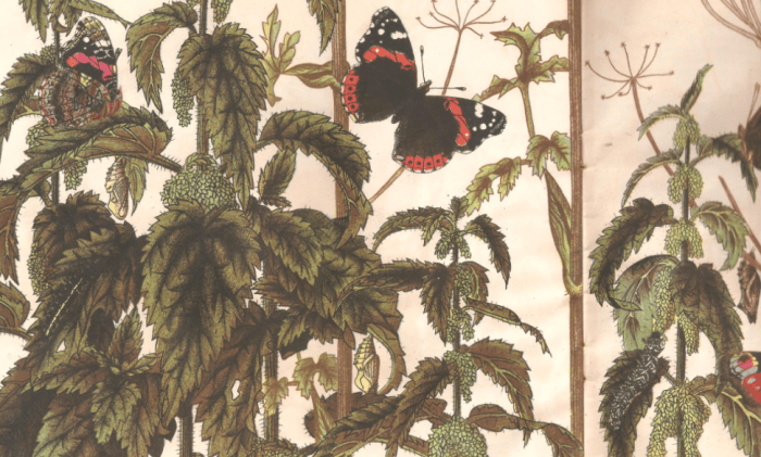 Screen Shot 2014-04-28 at 5.49.05 PM