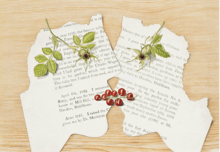 Screen Shot 2014-08-23 at 3.46.29 PM