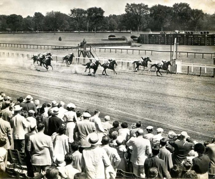 On the Saratoga race track 1954