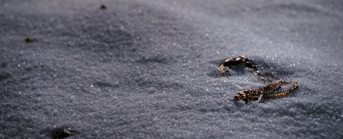 quantum_of_solace_necklace-e1391636694951