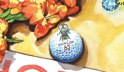 Chopping Fly on Dunlop 65's