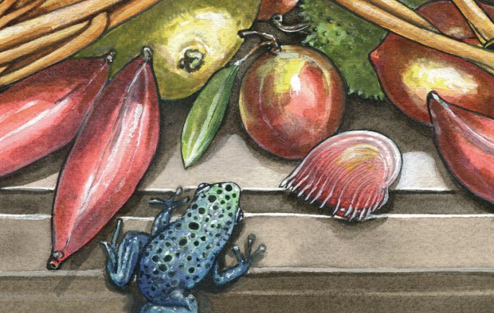 Blue Dart & Venus Elegans