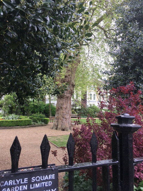 The Gardens - Carlyle Square. (Photo: David Salter)