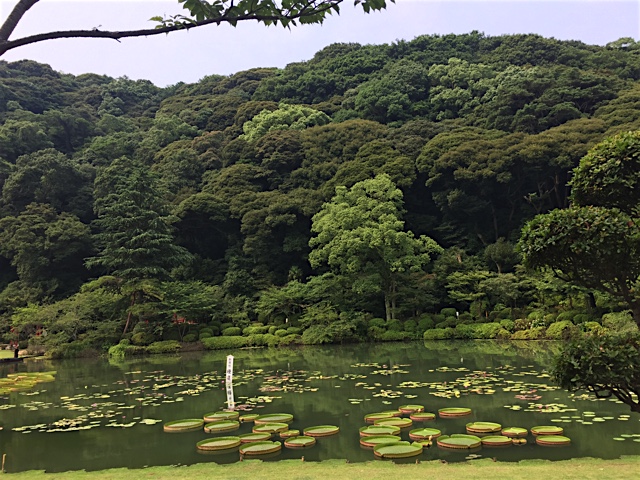 Gardens at the Beppu Hells